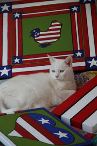 ThisAmericanCat2012BLOG