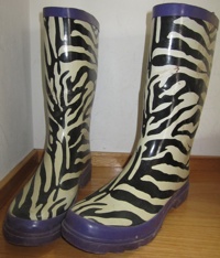 ZebrabootsBlog